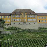 1107G 141 Bodensee Radweg